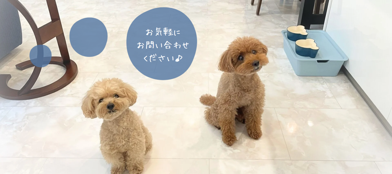 看板犬